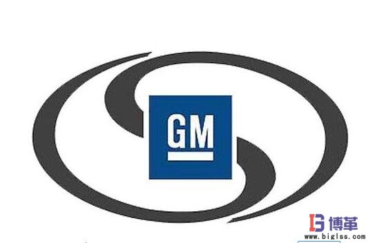 供應商體系對美國汽車市場份額的影響 供應商體系對美國汽車市場份額的影響