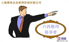 六西格瑪管理中倡導(dǎo)者的職責(zé)是什么?