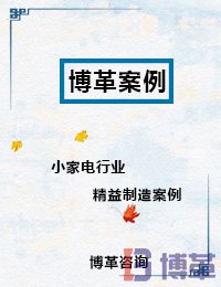 小家電行業(yè)精益制造案例 小家電行業(yè)精益制造案例