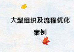【博革案例】組織結構及價值鏈流程優化