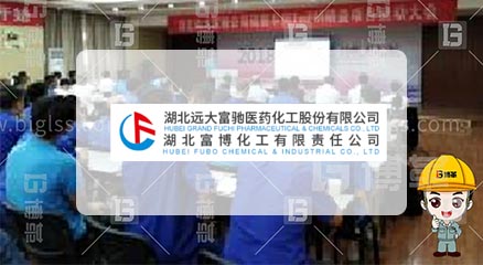遠大富馳醫藥化工行業TPM項目案例